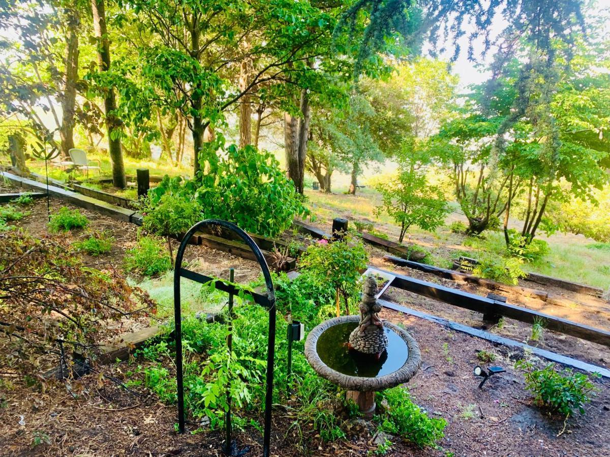 100 Mile View-Fire Pit, Romantic, Peaceful, Private Crestline Exterior foto