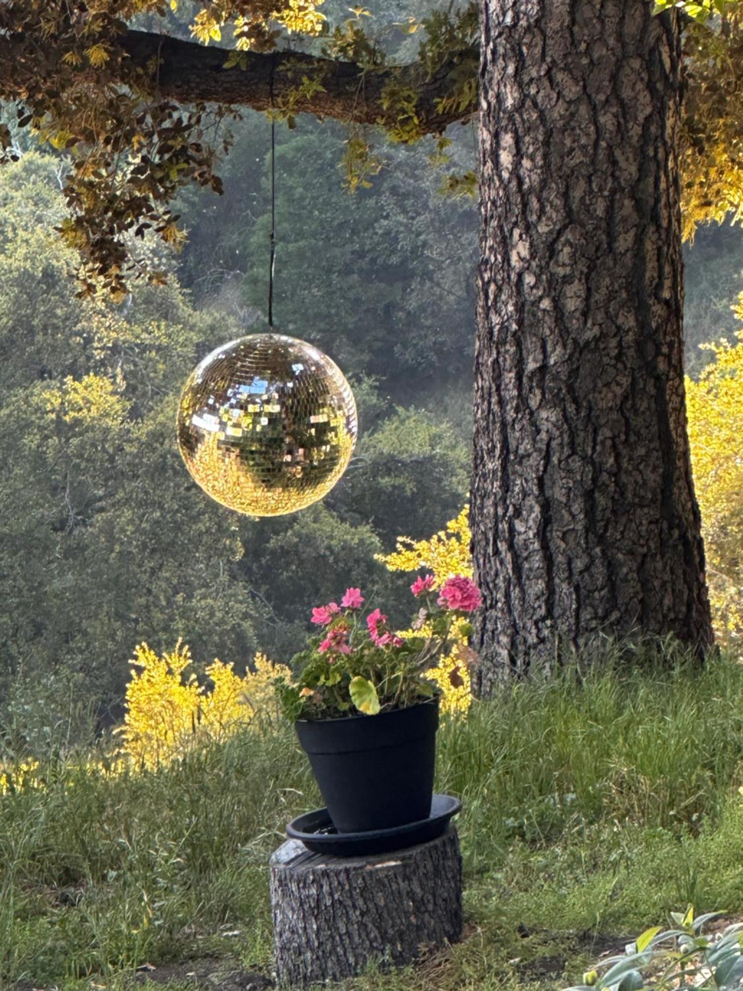 100 Mile View-Fire Pit, Romantic, Peaceful, Private Crestline Exterior foto